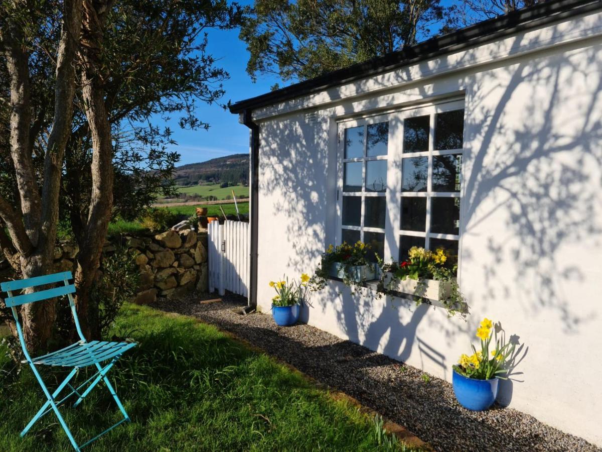 Lynam Cottage Ashford Eksteriør billede